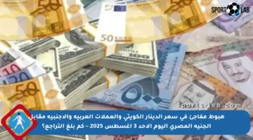 هبوط مفاجئ في سعر الدينار الكويتي والعملات العربية والأجنبية مقابل الجنيه المصري اليوم الأحد 3 أغسطس 2025 – كم بلغ التراجع؟